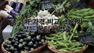 중고차 가격 비교 🚗💨 최저가 찾는 꿀팁 대방출!