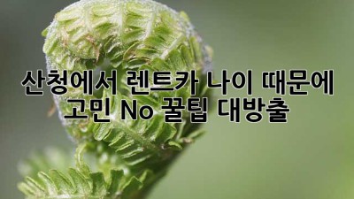 🚗 산청에서 렌트카? 나이 때문에 고민 No! 꿀팁 대방출! 🍯